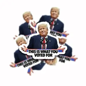 Dozen This is what you voted for sticker  Anti Trump  Political stickers  Meme stickers  Waterproof3