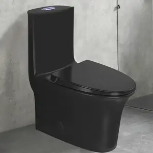 WinZo Elongated One Piece Toilet 3-in Dual Flush Elongated Soft Closing Seat for Modern Bathrooms, Matt Black