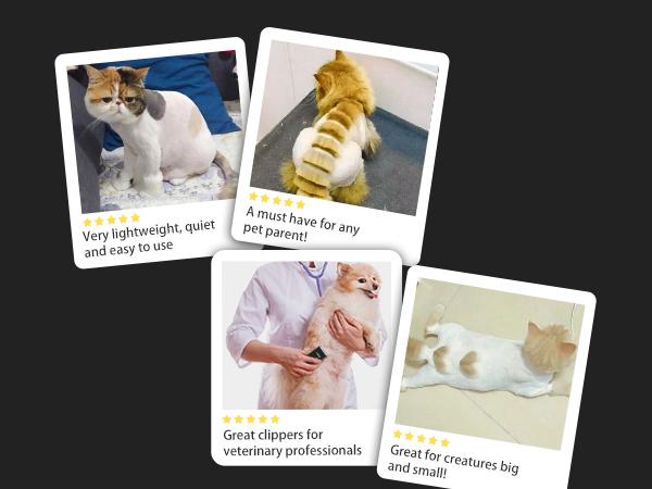 Pet Clippers for Dog Hair Grooming Low Noise, Rechargeable Cordless Cat Shaver with Ceramic Blade,Portable Pet Hair Trimmer for Matted & Long Hair