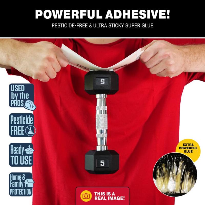 Max-Catch Non-Toxic Scented Glue Traps