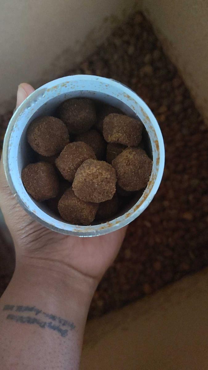 Item: Probiotics * 3 pcs