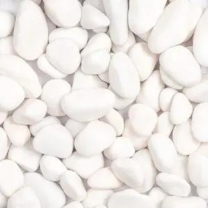 5lbs White  River Rocks, Polished Pebbles for  Garden, 1-2 inch Decorative White Stones, Ideal for Fish Tank, Vases, Crafting, Home Decor and Garden Landscaping Rocks,White