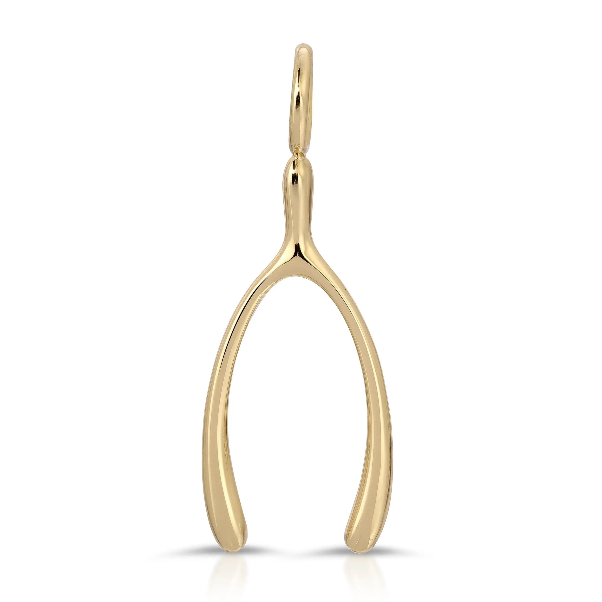Make A Wish-Bone Pendant - Customizable Design with Durable Material for Personalization