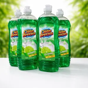 Dishwashing Liquid with Instmashing Formula Powerful Grease Removal Long Lasting Suds Refreshing Fragrance Stainless Household Cleaning Soap Scented Perfume