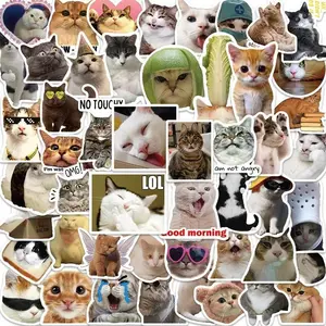 50pcs Funny Cat Meme Stickers Pack, Viral Cute Cats, Aesthetic & Comedy Stickers, Perfect for Social Media, Journals, and Gifts