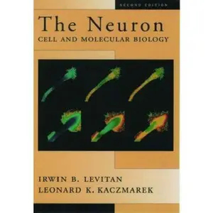 USED-The Neuron: Cell and Molecular Biology by Irwin B. Levitan (Paperback)