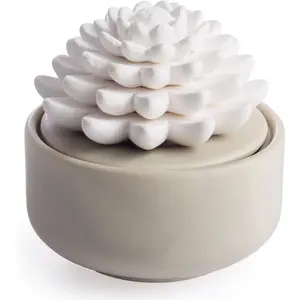Airomé White Succulent, Porcelain Passive Essential Oil Diffuser (with 15ml Peppermint Essential Oil) – Non-Electric, Battery-Free, Improves Sleep, and Relieves Stress