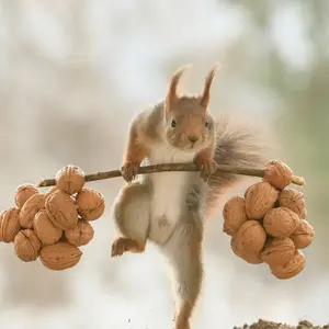 background preload poster image 