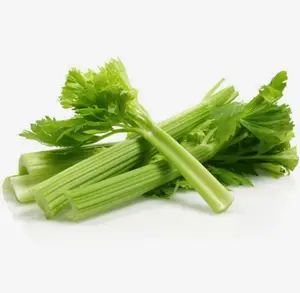 5000 High Yield Celery Seeds, Heirloom Seeds, Suitable for Home Gardening, Untreated, Early Maturing and High Yielding
