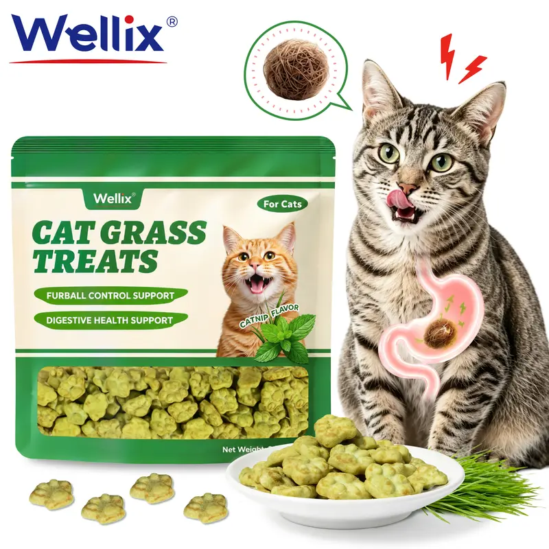 Wellix Dry Salmon-Based Cat Biscuit Treats - Hairball Aid, Feline Grass, Catnip, Oral Health Support - for Indoor Cats & Kittens, 3.17oz - Ideal for Feeding & Training