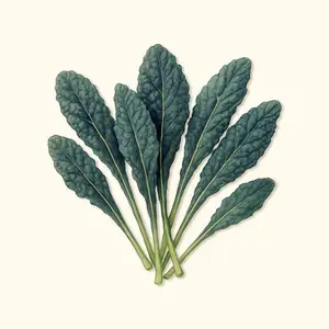 Vego Garden Lacinato Dinosaur Kale Seeds