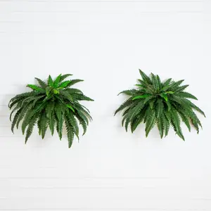 48” Boston Fern (Set of 2) 48” Boston Fern (Set of 2)