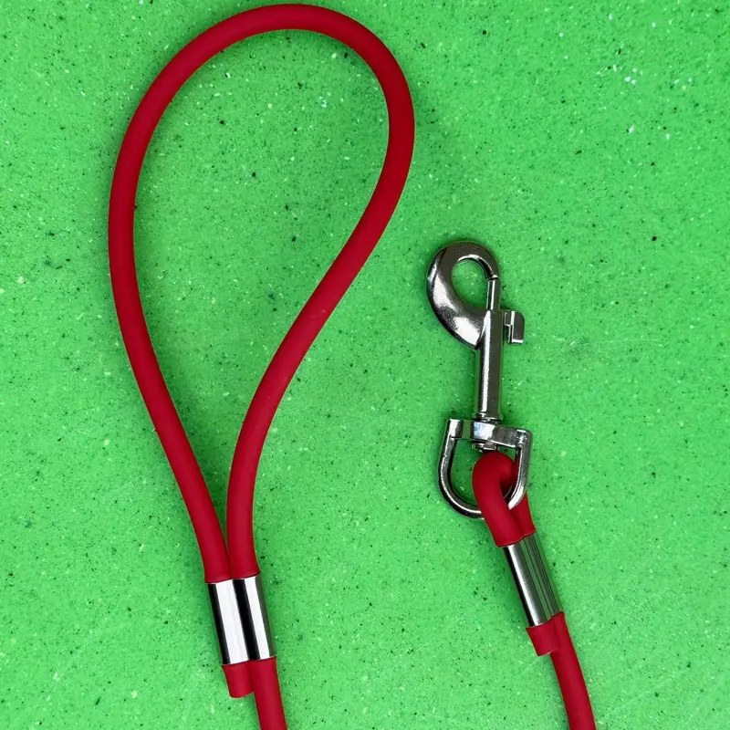 2-in-1 Slip Lead/Leash