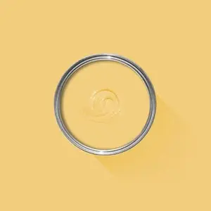 Farrow & Ball Citron NO.74 🚚 Free Shipping!