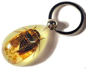 43mm Real Cicada in Glow in The Dark Lucite Keychain Insect Animal Taxidermy Sample Inside