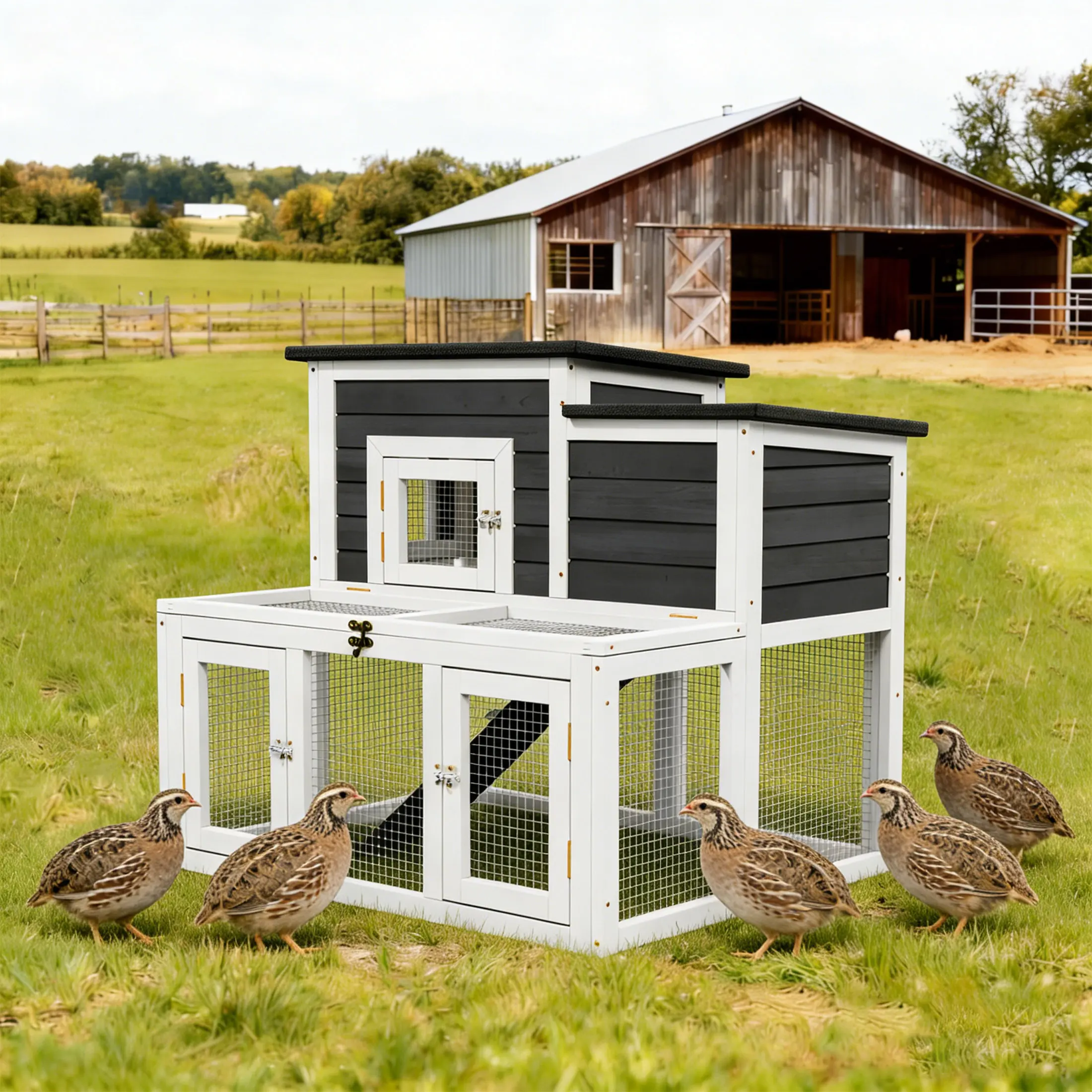 2 Tier 2 Room Outdoor Wooden Quail Cage with Weatherproof Roof and Tray for 4 Quail