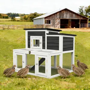 2 Tier 2 Room Outdoor Wooden Quail Cage with Weatherproof Roof and Tray for 4 Quail
