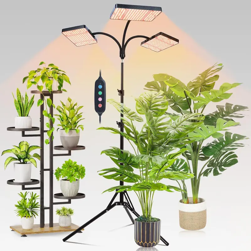 bonsai tree kit Bonsai Growing Kit – Spoiled Earth main image 1