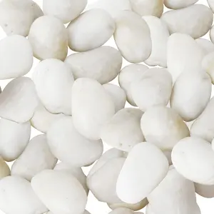 [Summervibes] White River Rocks 2-3 Inch Natural Pebbles for Indoor Plants High Polished Decorative Stones Vase Filler Fish Tank Aquariums Landscaping Garden DIY Recyclable Greener Washable