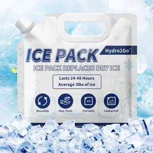 Reusable Ice Water Bags Long Lasting Cold Freeze Frostbite Prevention Coolers Lunch Box School Beach Fishing Camping Travel Gear Handle