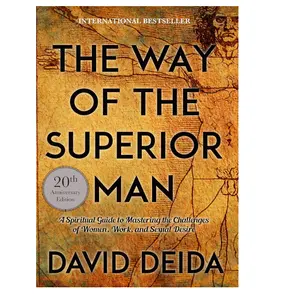 The Way of the Superior Man: A Spiritual Guide to Mastering the Challenges of Women, Work, and Sexual Desire David Deida -Paperback