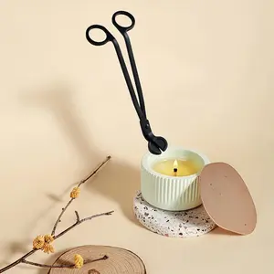 Candle Wick Cutter, 1 Count Stainless Steel Manual Candle Wick Trimmer, Candle Wick Trimming, Birthday Gift Ideas, Candle Making Tool, Decorations Supplies, DIY, Room Accessories, Home Accessories