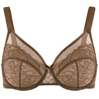 Enchante-Cocoa Brown