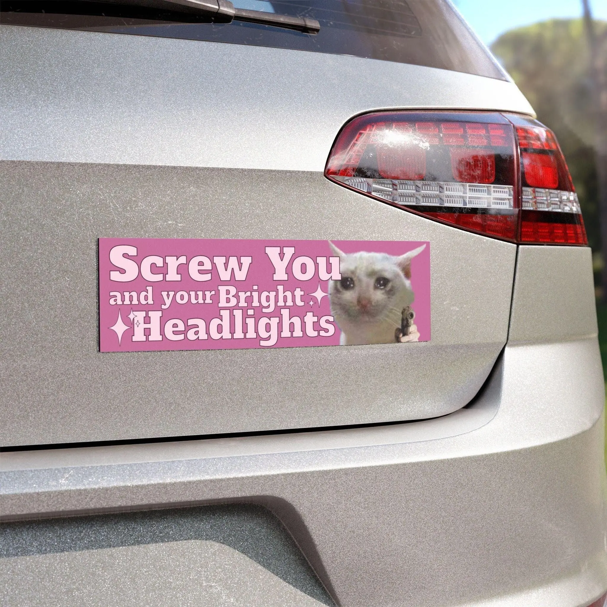 Screw You and Your Bright Headlights Funny Car Magnet, Crying Cat Bumper Magnet, Night Driving Humor Vehicle Decor, Gag Gift for Drivers