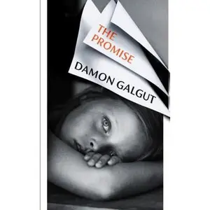 USED-The promise (winner of booker prize 2021) by Damon Galgut (Paperback)