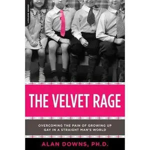 USED-The Velvet Rage: Overcoming the Pain of Growing Up Gay in a Straight Man's World by Alan Downs (Paperback)