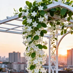 50 PCS Jasmine Flower Seeds for Planting Fragrant Plant Seeds Non-GMO Garden Home Jasmine Garden Balcony  Flower