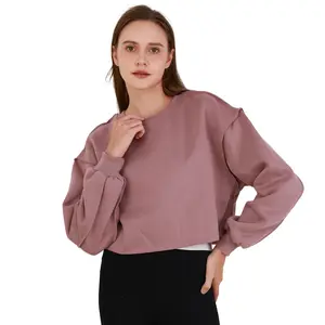 Women's Crop Sweatshirt Outfit Long Sleeves Pullover Hoodie Oversize Crop Tops Crew neck Fit Soft And Solid Sweaters For Women Fleece Cropped