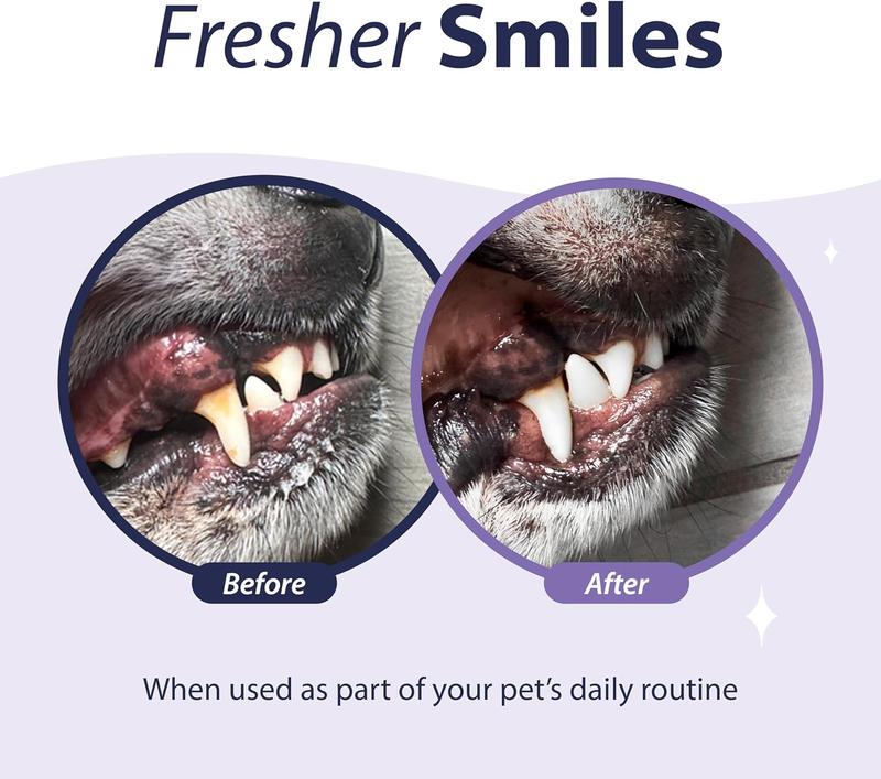 Dental Fresh Advanced Plaque and Tartar Water Additive, 17oz – Dog Teeth Cleaning Formula to Freshen Breath and Improve Cat & Dog Dental Care