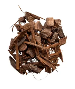 Bowel Banisher - Digestive System