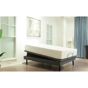 Ergomotion Ascend High-Low Adjustable Bed with Tilt