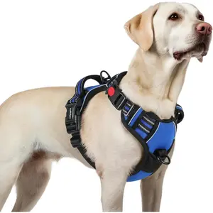 No Pull Dog Harness for Large Dogs, Adjustable Soft Padded Vest with 3 Buckles, Control Handle, Reflective Walking Pet Harness, Blue, L