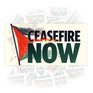 Ceasefire Now Free Palestine Flag Car Sticker Save Gaza Bumper Sticker Anti Genocide Muslim Arabic Vinyl Sticker Waterproof 90R