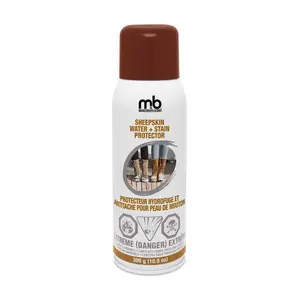 Moneysworth and Best Sheepskin Water and Stain Repellent Aerosol (10.5 oz)