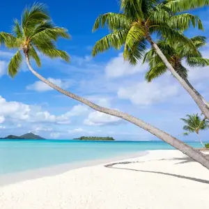 background preload poster image 