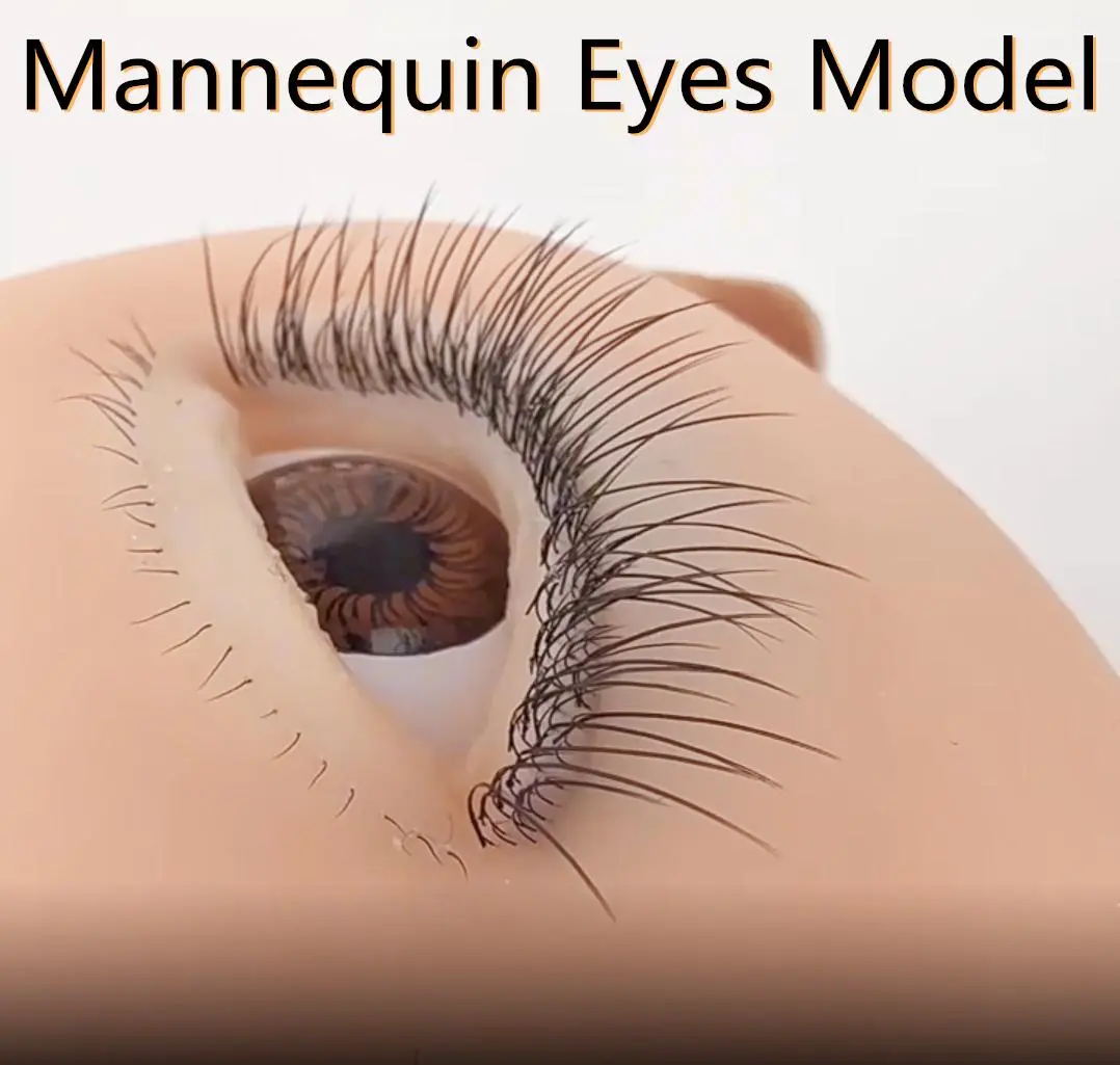 Trending Trending Mannequin Eyes Model with Upper Lower Lashes Eyelash Extension Training For Lash Practice Simulated Makeup Tools Nice Gifts