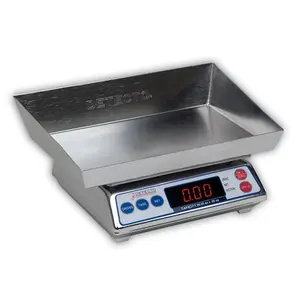 Detecto  Diaper Scale Digital Stainless Steel 4000 G X 1 G