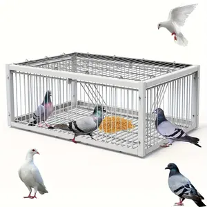 The automatic door enters the pigeon artifact, but only the pigeons cannot enter.