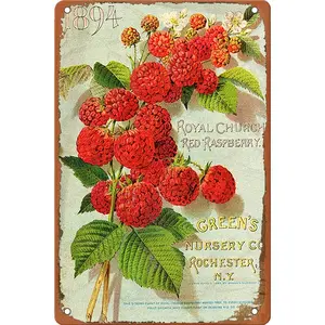 Retro Green's Nursery Raspberry Print Metal Sign, 8x12 Inch Vintage Seed Packet Style Tin Plaque, Ideal for Cottage & Pantry