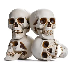 Yescom Halloween Skulls Life Size Skeleton Head 4ct/pk