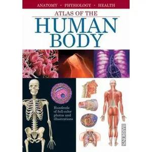USED-Atlas of the Human Body: Anatomy - Physiology - Health by Adolfo Cassan (Hardcover)