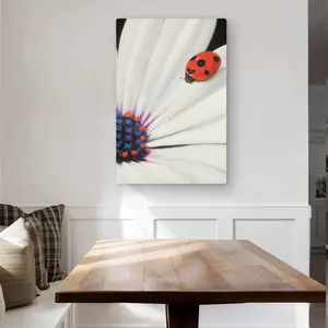 Begin Home Decor C1MP2436027PQL 24 x 36 in. White Daisy & Ladybug Wall Art - Black Floral Metal Print Decor