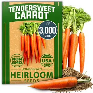 Tendersweet Carrots Seeds Pack (Daucus carota subsp. sativus) - 3000 Non-GMO Heirloom Carrot Seeds for Planting Outdoors - High-Germinating Vegetable Seeds for a Lush Garden