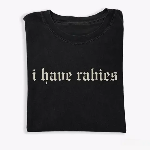 I Have Rabies Funny T-shirt, Unhinged Shirts, Weird Gift for Friend/ Sister, Humor Tee, Gen z Meme Tee, Silly Gifts Classic Clothes