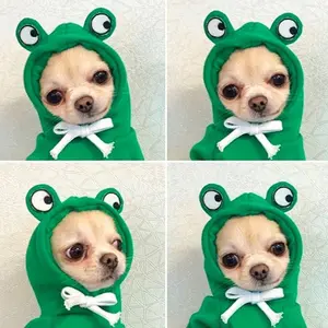 Warm Winter Dog Clothing, Cute Frog Design Hooded Jacket, Fleece Lined Pet Dog Coat, Sweater, Suitable for Cats and Dogs, Large Size