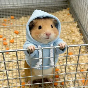 Cute Baby Hamster Hoodie Sweatshirt, Comfortable Pet Clothing for Hamsters & Small Animals, Stylish Design for Daily Wear